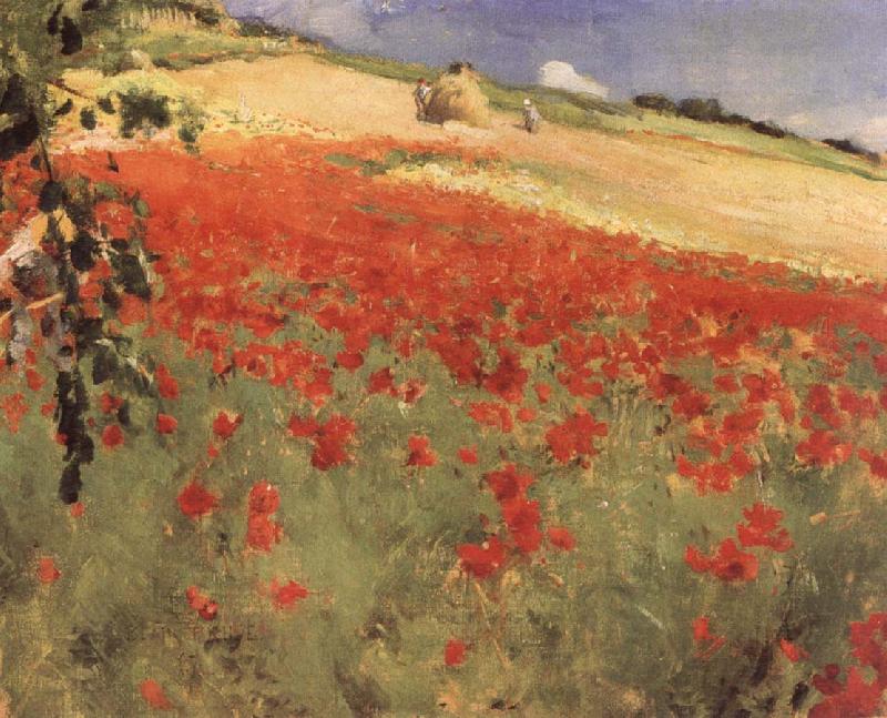 William blair bruce Landscape with Poppies oil painting picture